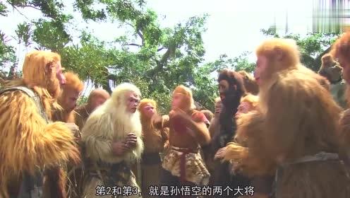 吃瓜吃出猿猴视频大全图片,揭秘猿猴世界趣味瞬间