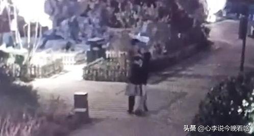 石家庄实时吃瓜事件视频,一视频引发全民热议，真相究竟如何？