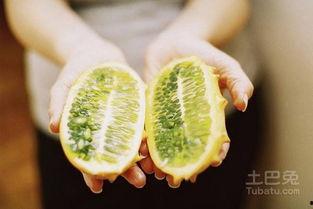 刺角瓜怎么吃视频,视频教学轻松上手