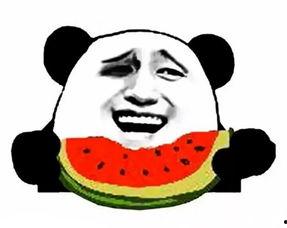 吃瓜群众敬礼视频素材,网络热传视频背后的故事