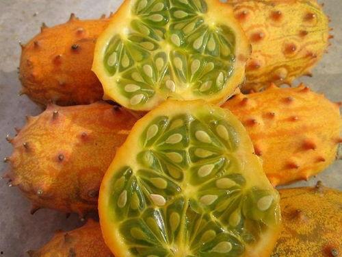 宝宝吃刺角瓜好吗视频讲解,宝宝辅食新选择