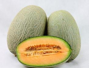 战士吃哈密瓜视频,甜蜜瞬间，战地风情