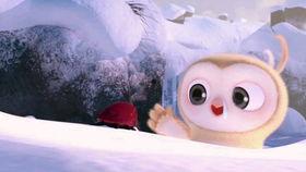 宿舍日常搞笑视频吃瓜,吃瓜群众笑翻天