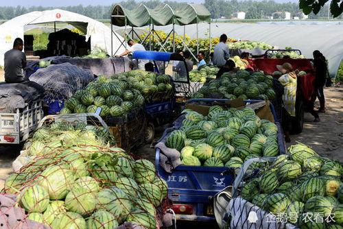 商丘吃瓜曝光事件视频最新,真相与争议再掀波澜