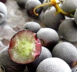 吃瓜能吃葡萄冰棍吗视频,揭秘吃瓜也能吃葡萄冰棍的神奇魅力